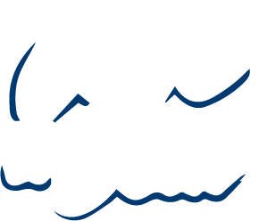 Save a Seat logo